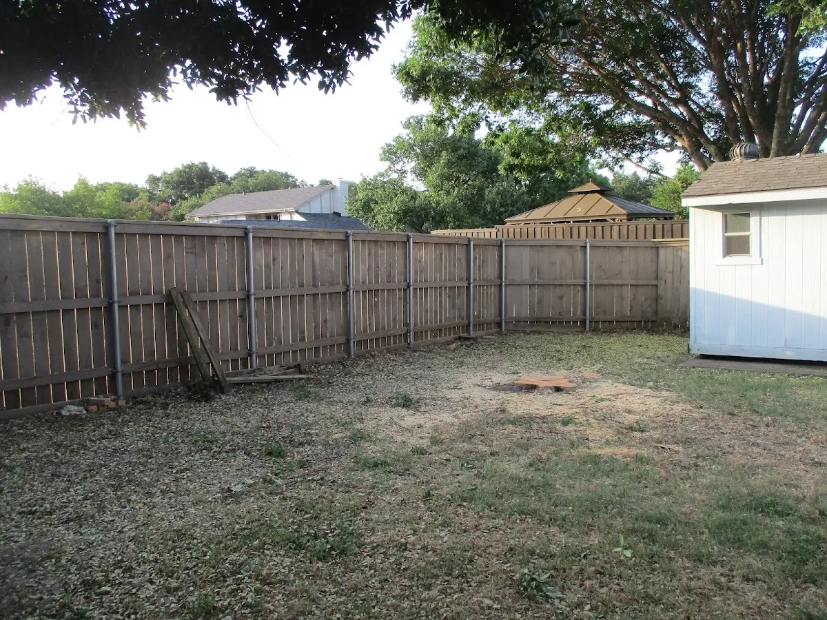 Cleared yard after professional tree removal in Fishertown