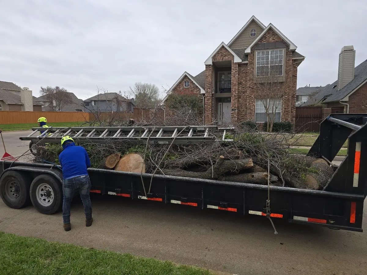 Expert Tree Pest Control with proper safety equipment in Fishertown